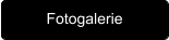 Fotogalerie