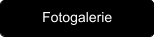 Fotogalerie