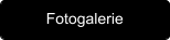 Fotogalerie