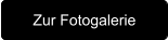 Zur Fotogalerie