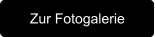 Zur Fotogalerie