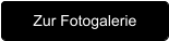 Zur Fotogalerie