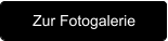 Zur Fotogalerie