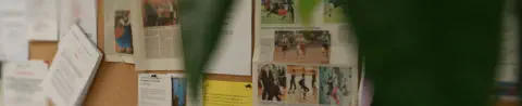 Tanzsportgemeinschaft Fürth e.V. - Vereinssatzung
