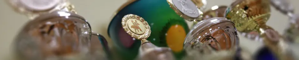 Tanzsportgemeinschaft Fürth e.V. - Turnierergebnisse